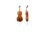 Violoncel