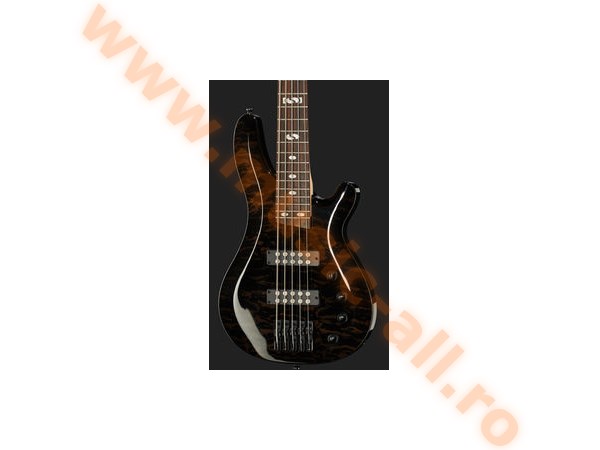 Harley Benton B-550 QTB Progressive Bundle1