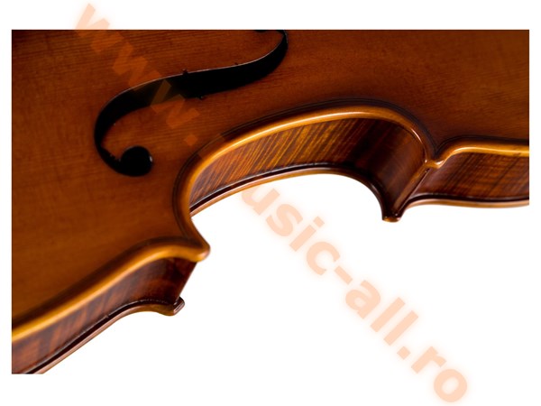 Classic Cantabile Brioso Violinenset 4/4