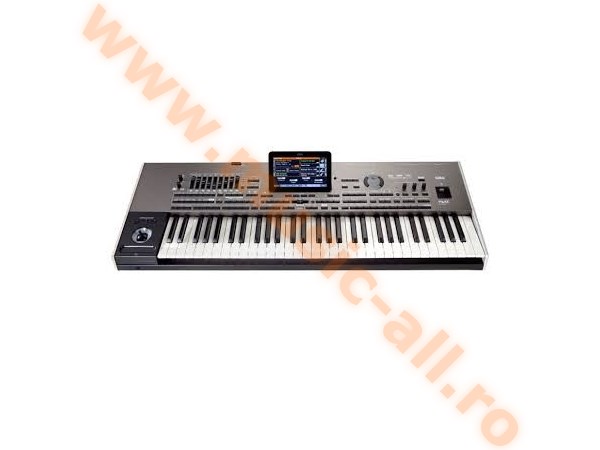 Korg pro PA-4X61 International