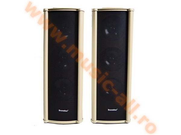 SPC100V30W - DIFUZOR COLOANA AUDIO 110V 30W