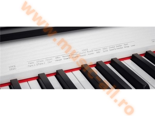 Classic Cantabile DP-210 E-Piano WM