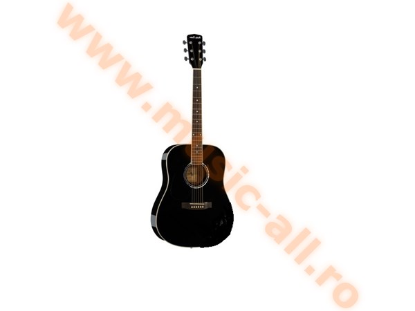Harley Benton D-120BK