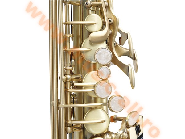 Classic Cantabile Winds AS-450 Brushed Altsaxophon