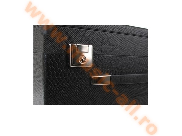 Alpenklang 96 bass accordion case