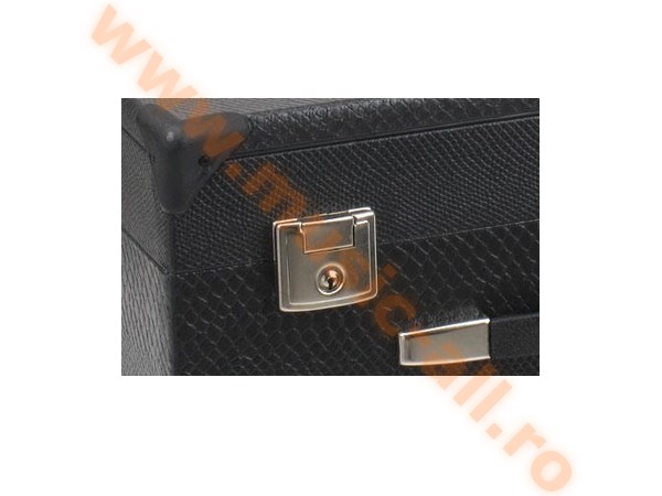 Alpenklang Accordion 120 Bass Case, size II