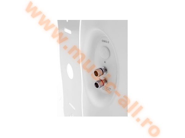 Pronomic OLS-10 WH white outdoor speaker 100 Watts