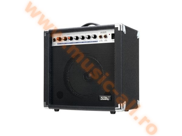 Soundking AK20-GR Guitar Combo - 2-channel, 60 Watt