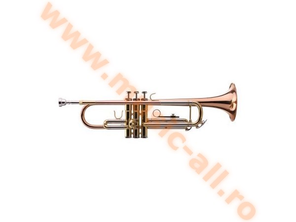 LECHGOLD TR-14G Bb Trumpet