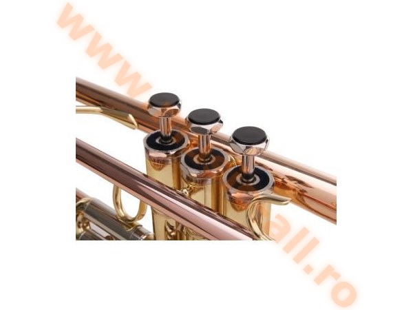 LECHGOLD TR-14G Bb Trumpet