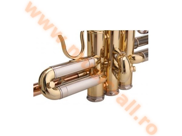 LECHGOLD TR-14G Bb Trumpet