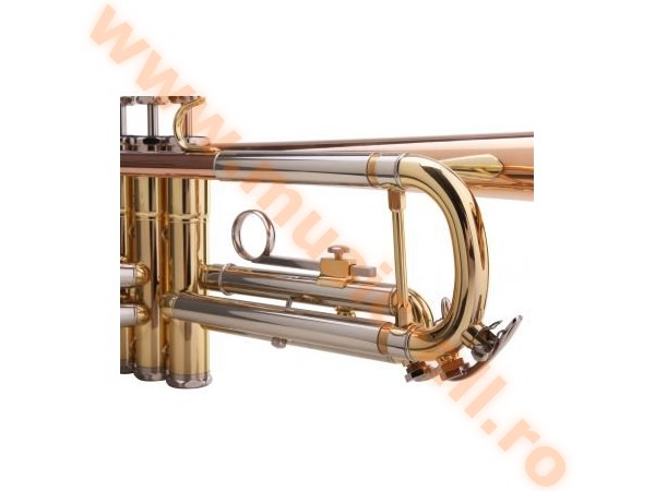LECHGOLD TR-14G Bb Trumpet