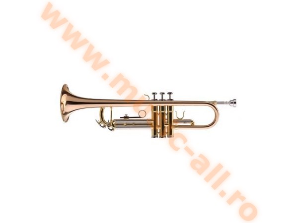 LECHGOLD TR-14G Bb Trumpet