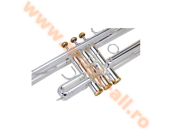 LECHGOLD TR-16S Bb Trumpet