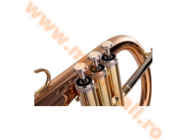 Lechgold FH-60G Flugelhorn