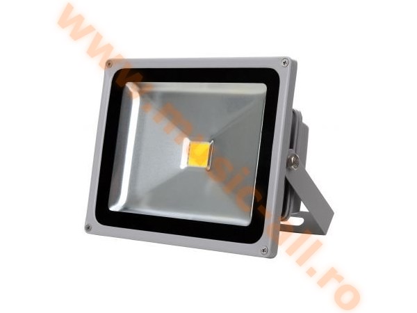 Showlite FL-2030 LED Floodlight