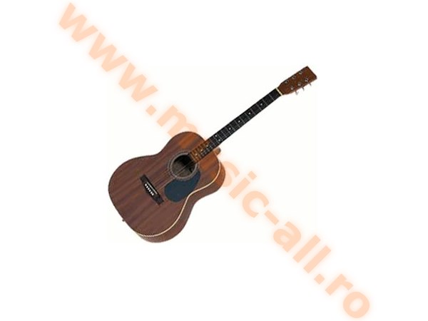 Harley Benton CG-45 NS