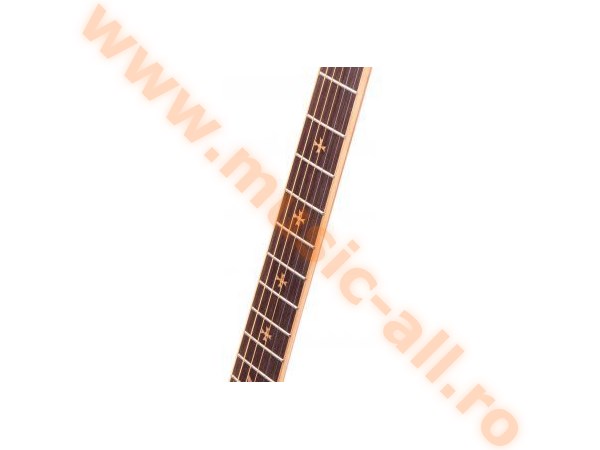 Rocktile Empire Westernguitar Zebrano