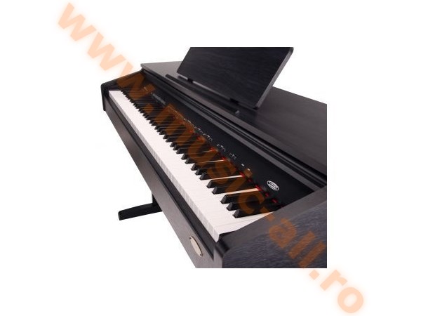 Classic Cantabile DP-210 RH digital piano rosewood