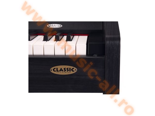 Classic Cantabile DP-210 RH digital piano rosewood