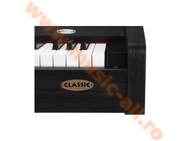 Classic Cantabile DP-210 RH digital piano black matte