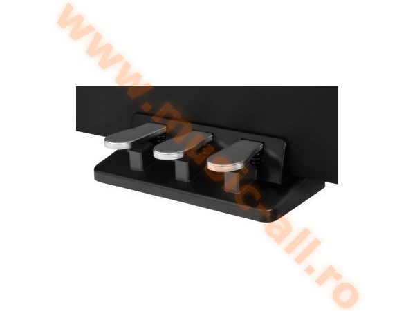 Classic Cantabile DP-210 RH digital piano black matte