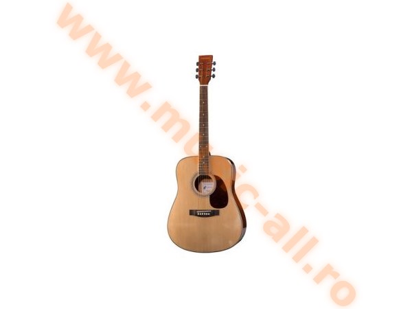 Harley Benton D-120NT