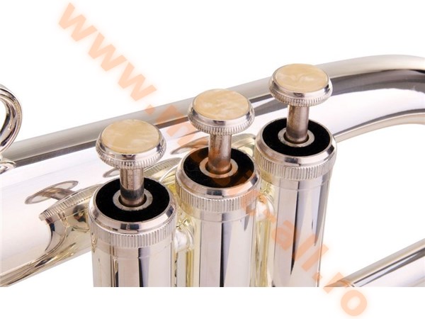Classic Cantabile FL-26S Flugelhorn