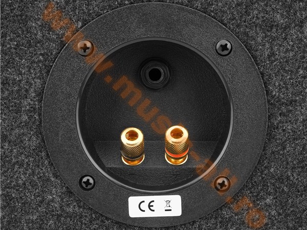 McGrey Festival15 passive speaker