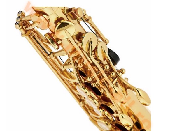Saxofon Thomann TAS-180 Alto, Cutie & Mustiuc Inclus