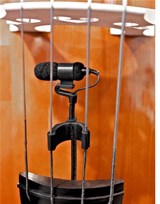 the t.bone Ovid System Bass Bundle
