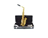 Startone SAS-75 Alto Saxophone