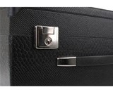 Alpenklang 3-row accordion case