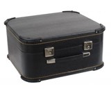 Alpenklang 48 Bass Accordion Case Deluxe