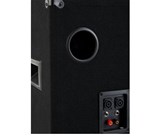 McGrey DJ-1022 party room / DJ-Box 400W