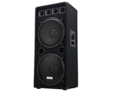 Basement DJ-2522 Party Room / DJ Box 1500W