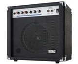 Soundking AK20-G Guitar Amplifier - 2-channel, 60 Watt