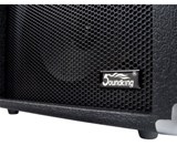 Soundking AK20-G Guitar Amplifier - 2-channel, 60 Watt