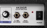 Soundking AK20-GR Guitar Combo - 2-channel, 60 Watt