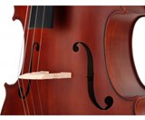 Comfort Classic Cantabile Student Cello 4/4 SET