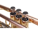 LECHGOLD TR-14G Bb Trumpet