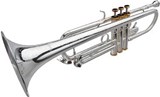 LECHGOLD TR-16S Bb Trumpet