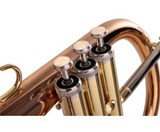 Lechgold FH-60G Flugelhorn