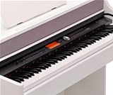 Thomann DP-95 WH