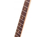 Rocktile Empire Westernguitar Zebrano