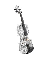 Thomann Skulls & Catacomb Violin 4/4