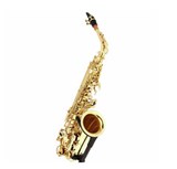 Saxofon Thomann TAS-180 Alto, Cutie & Mustiuc Inclus